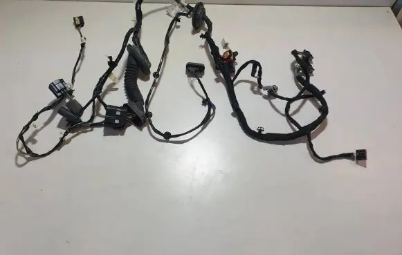 Ford Fusion II Rear door wiring loom GG9T14631 6FN022