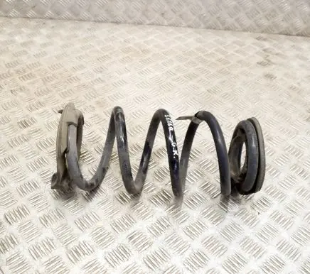 Tesla Model 3 Rear coil spring 104447201E
