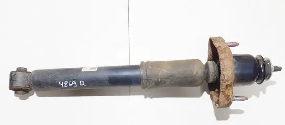 Mitsubishi Outlander Rear shock absorber/damper 317100 301700317100