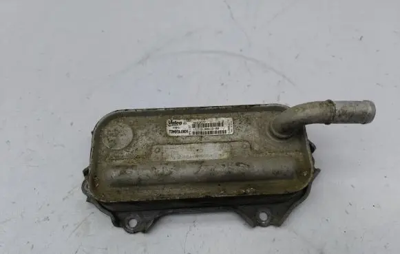 Toyota RAV 4 (XA30) Engine oil radiator 157100R01000