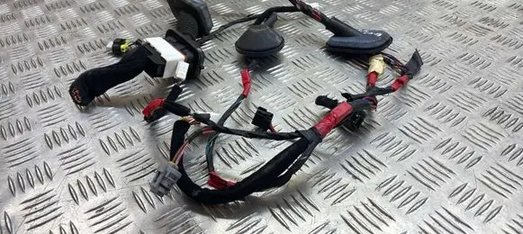 Hyundai Santa Fe Front door wiring loom 916102B240