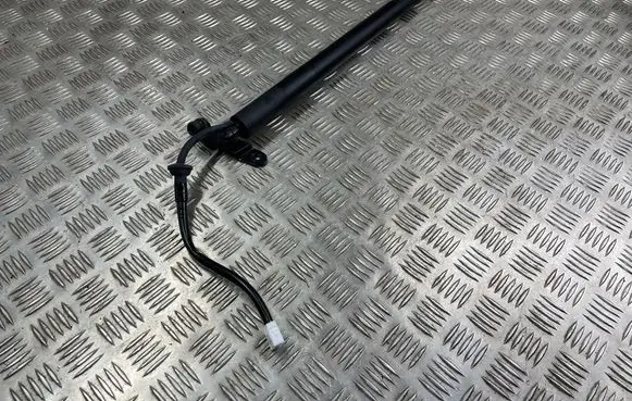 Lexus NX Tailgate/trunk strut/damper 6891078032 3092870843