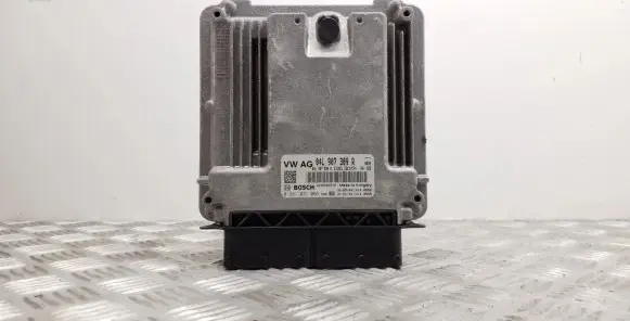 Engine control unit/module ECU