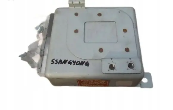 SsangYong Rexton Other control units/modules 8713008101