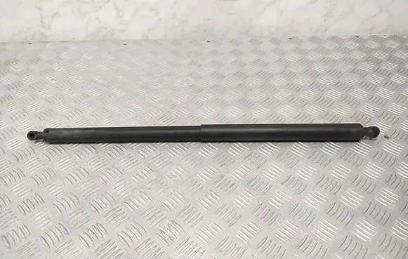 Tailgate strut
