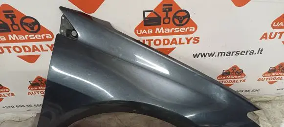Renault Laguna III Fender 60856550