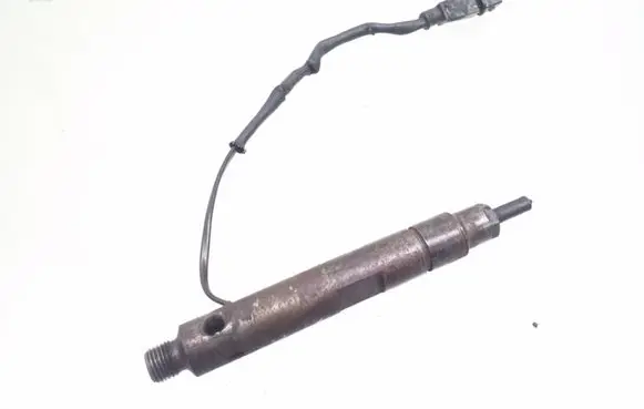 Renault Scenic I Fuel injector 7700112880