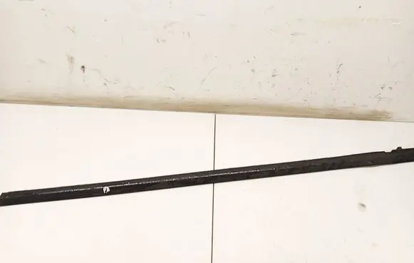 Ford Focus Front door glass trim molding 