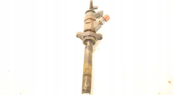 Peugeot 207 Fuel injector 0445110297