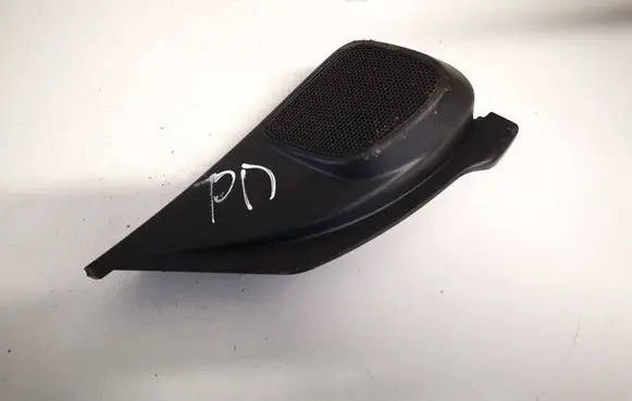Front door speaker