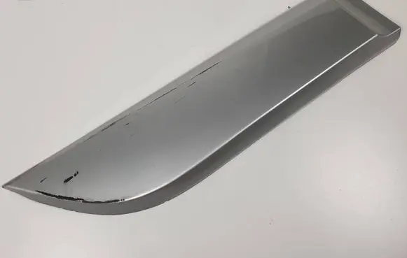 Renault Scenic III - Grand scenic III Rear door trim (molding) 828760009R
