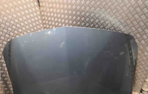 Engine bonnet/hood