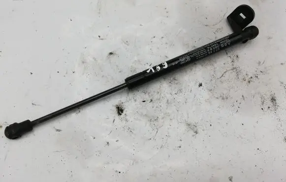 Chevrolet Captiva Rear window strut damper 82553891300