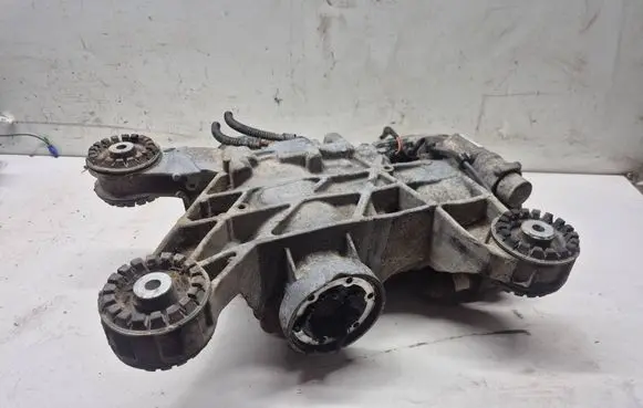 Volkswagen Tiguan Rear differential HPU ZSB0AY525010 1083837G
