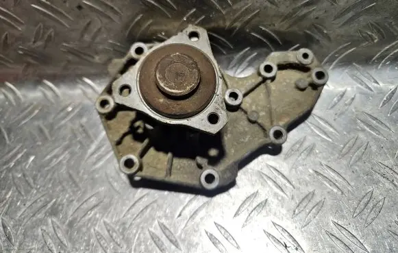 Renault 19 Water pump 7700599052