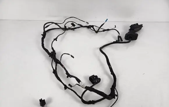 BMW 6 F06 Gran coupe Front door wiring loom 9169242 9255406