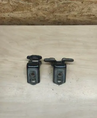 Renault Austral Rear door hinge set 