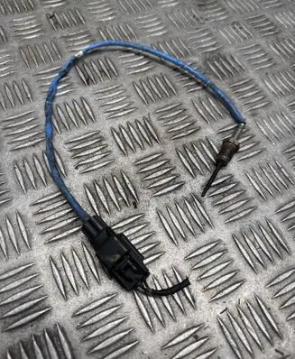 Ford Fiesta Exhaust gas temperature sensor F1B112B591BB