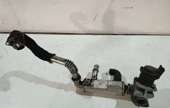 Citroen Berlingo EGR valve cooler