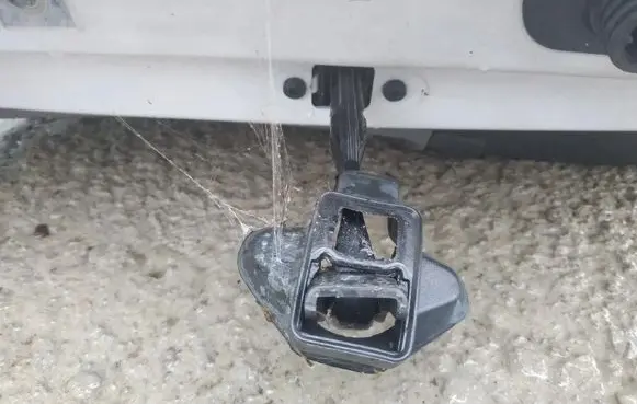 Front door check strap stopper