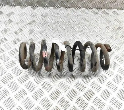Suzuki Grand Vitara II Rear coil spring 4131165J00