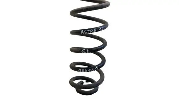 Rear coil spring