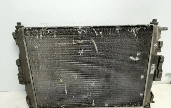 Renault Megane III Coolant radiator 8200115542