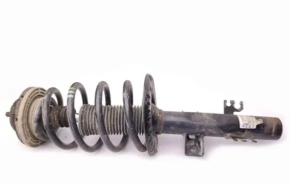 Volkswagen Transporter - Caravelle T5 Front shock absorber with coil spring 313327 141500313