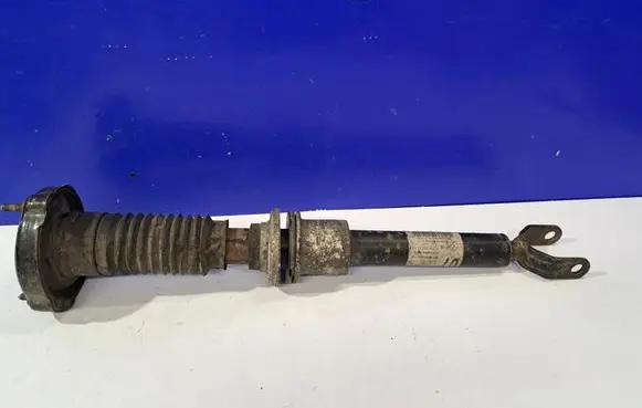 Mercedes-Benz CLS C219 Front shock absorber/damper A2193200713
