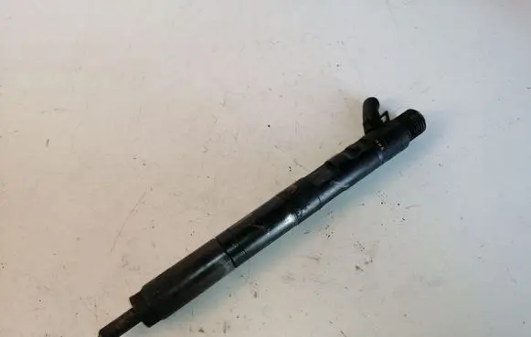 KIA Carnival Fuel injector EJBR02301Z