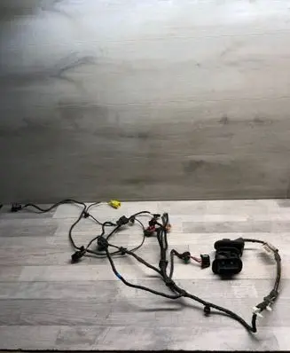 Front door wiring loom