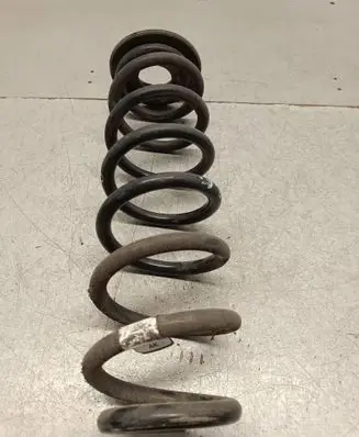 Rear coil spring
