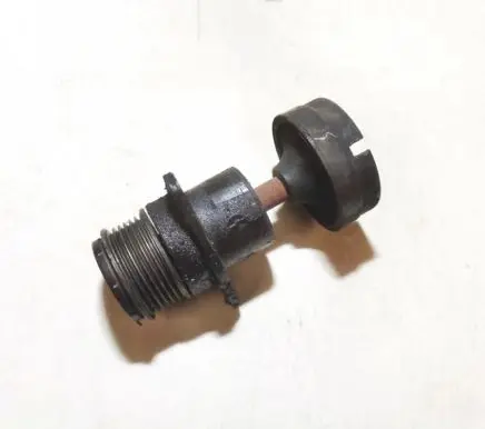 Ford Focus Alternator pulley 