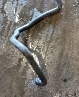 Mercedes-Benz CLS C218 X218 Engine coolant pipe/hose A2128320994