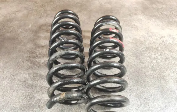 Rear coil spring