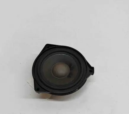 Panel speaker