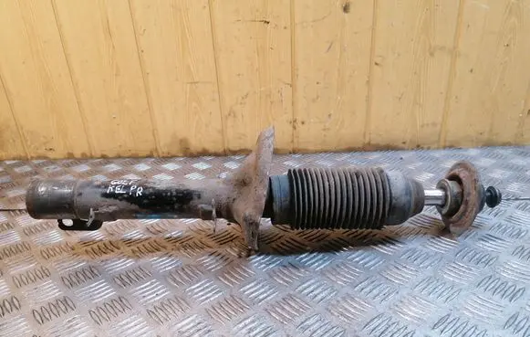 Volkswagen Golf IV Front shock absorber/damper 312354
