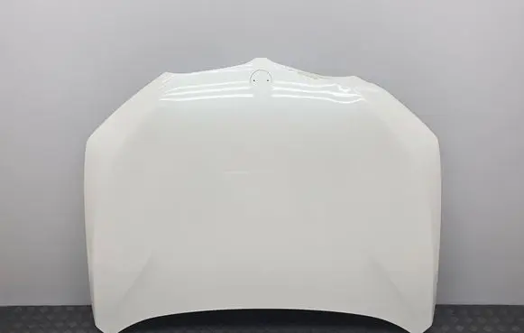 BMW X1 F48 F49 Engine bonnet/hood 