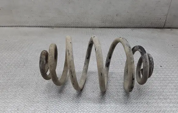 Volkswagen PASSAT B5.5 Rear coil spring