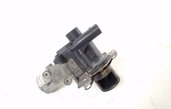 Renault Kangoo II EGR valve 8200282949