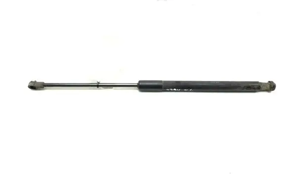 Tailgate strut
