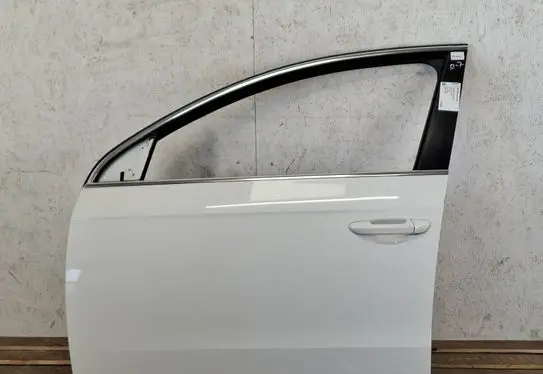 Volkswagen PASSAT B7 Front door