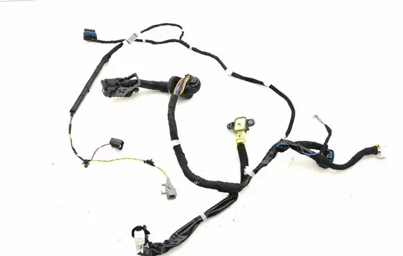 Nissan Leaf II (ZE1) Front door wiring loom 241255SJ0B