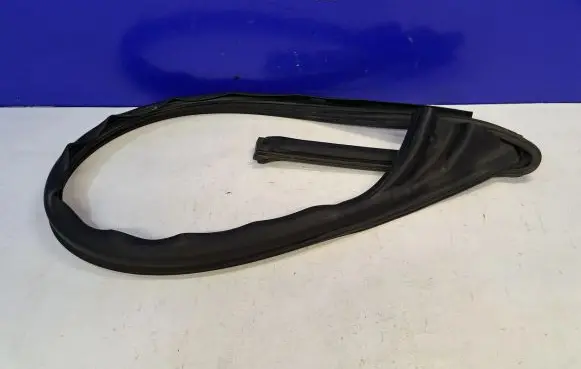 Jaguar F-Type Rubber seal front coupe door 4J16156