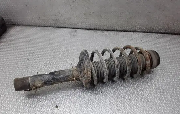 Seat Leon (1M) Front shock absorber with coil spring