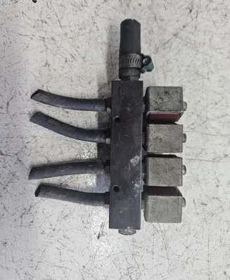 Volkswagen Sharan LP gas injector 67R015198 110R005199