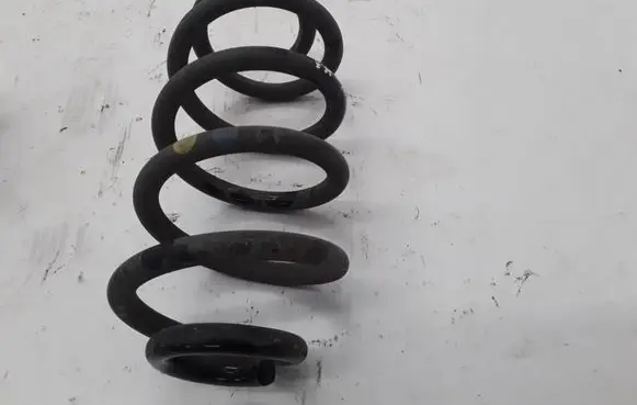 Renault Zoe Rear coil spring 550206834R