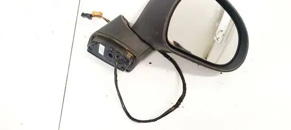 Peugeot 207 Front door electric wing mirror E9014342