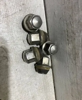 Nuts/bolts