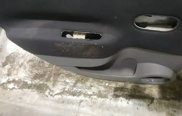 Renault Scenic II - Grand scenic II Rear door card panel trim